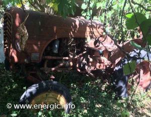 Energic tracteur 518 in the bushes. www.energic.info