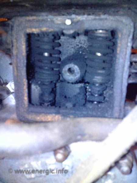 Energic C7 unrestored valve springs.