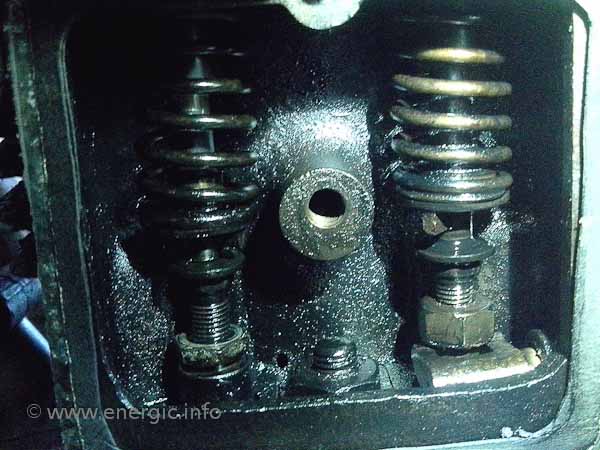 Energic D9 Valve springs