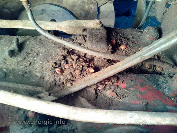 Energic C7 unrestored.